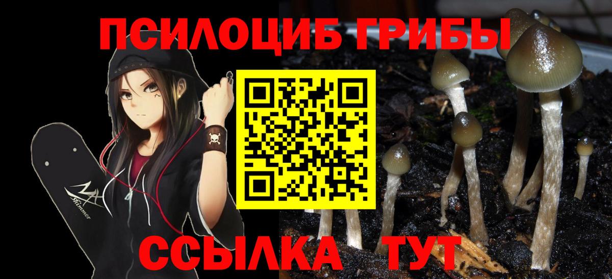Ноябрьск  Псилоцибиновые грибы MAGIC MUSHROOMS  Псилоцибиновые грибы прущие грибы  Вход с VPN 